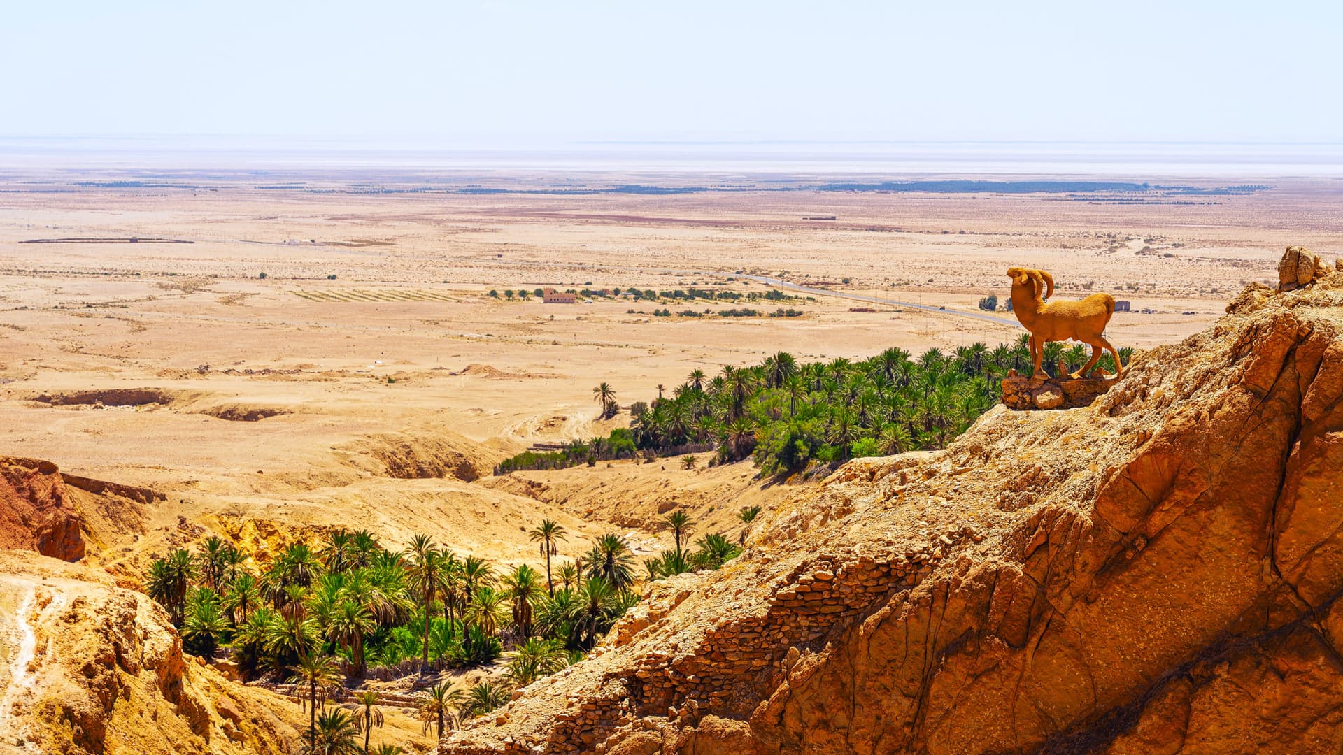 Sahara and Oases