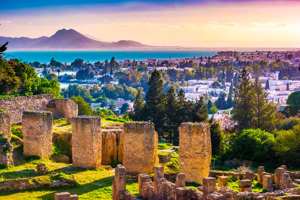 Carthage National Museum