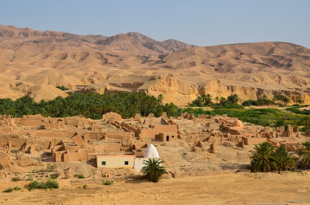 Tamerza Oasis