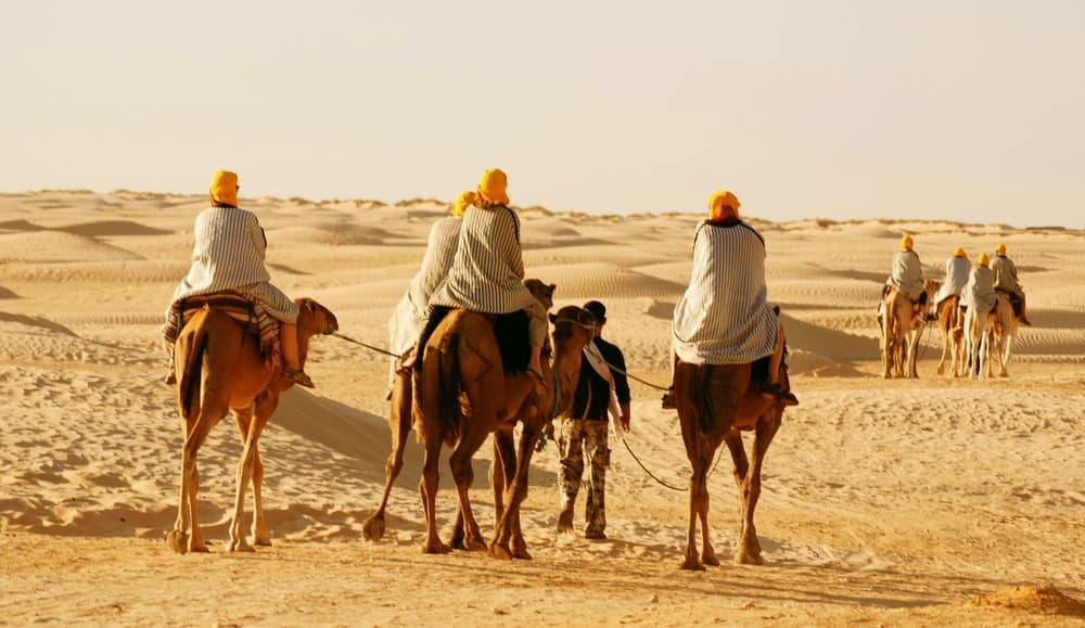 Desert Camel Trekking