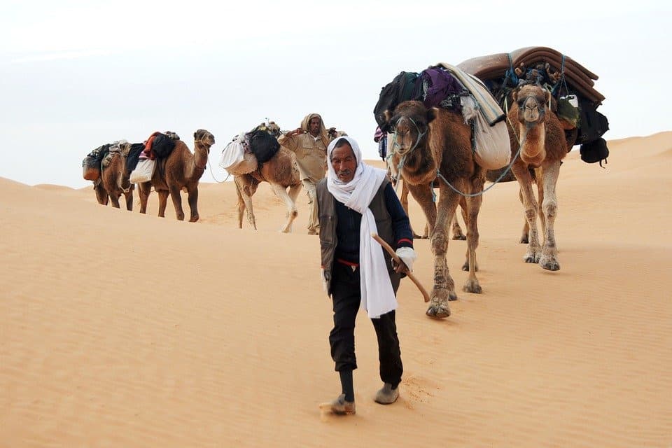 desert 5ed66893eb91b40006aeaad1