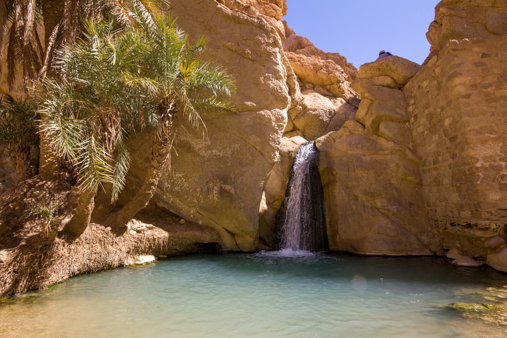 Chebika Oasis